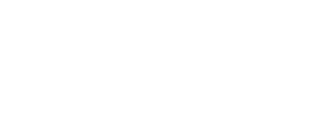 Domain Realty.com LLC