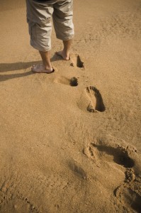 Barefoot Beach – Florida’s Gulf Coast