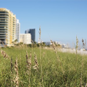 How Much are Homes at Barefoot Beach?