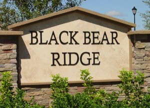 Black Bear Ridge homes for sale in Naples Florida Real Estate