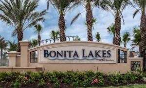 Bonita Lakes Bonita Springs Homes For Sale 