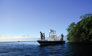 tarpon point marina