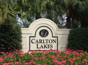 Carlton Lakes homes for sale in Naples Florida Real Estate