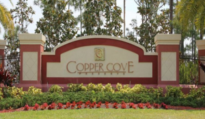 Homes for sale in Copper Cove Preserve Naples Florida Real Estate