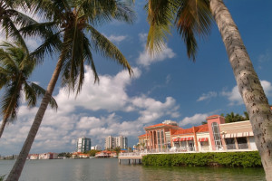 southwest florida real estate