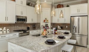 Estero Pointe Homes