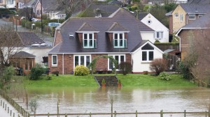 flood insurance 