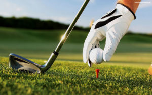 Ibis Landing bundled golf community homes for sale in Lehigh Acres FL