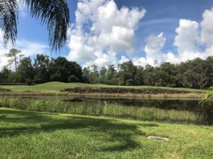 Olde Hickory golf course homes for sale in Fort Myers Florida