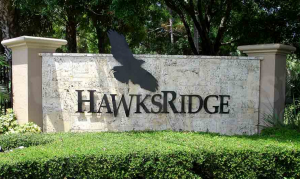 Hawks Ridge home for sale in Naples Florida real estate