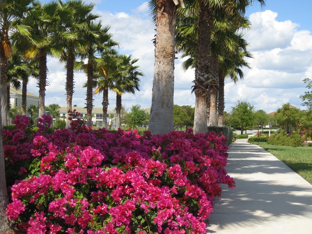 Laguna Lakes Fort Myers