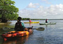 estero wild blue community