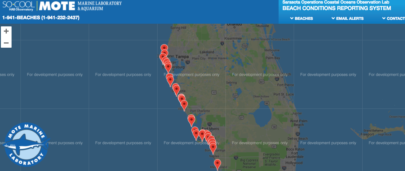 southwest florida red tide conditions