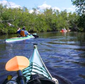 kayaking near marco island homes