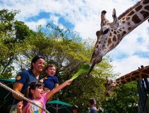 zoo in Naples