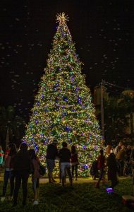 The Marco Island Christmas Tree lighting 