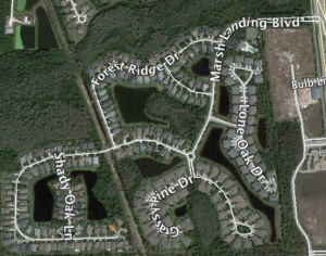 Marsh Landing homes for sale in Estero Florida Real Estate