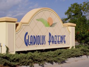Gladiolus Preserve