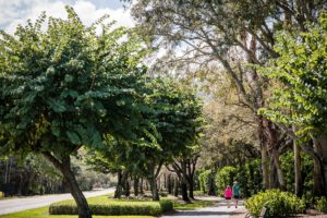 cypress-woods-naples-hoa-fees