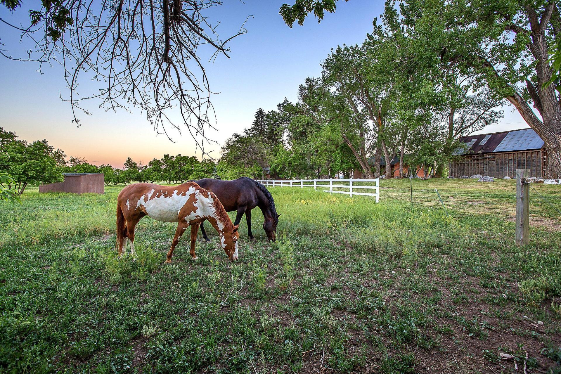 Golden Gate Estates