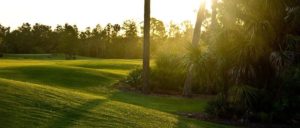 glen-eagle-naples-florida-website