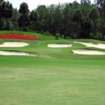 Naples Heritage Golf and Country Club homes for sale in Naples Florida Real Estate