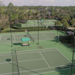 Naples Heritage Golf and Country Club homes for sale in Naples Florida Real Estate