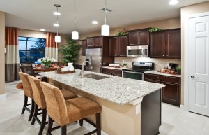 Kitchen in the Vernon Hill II Model