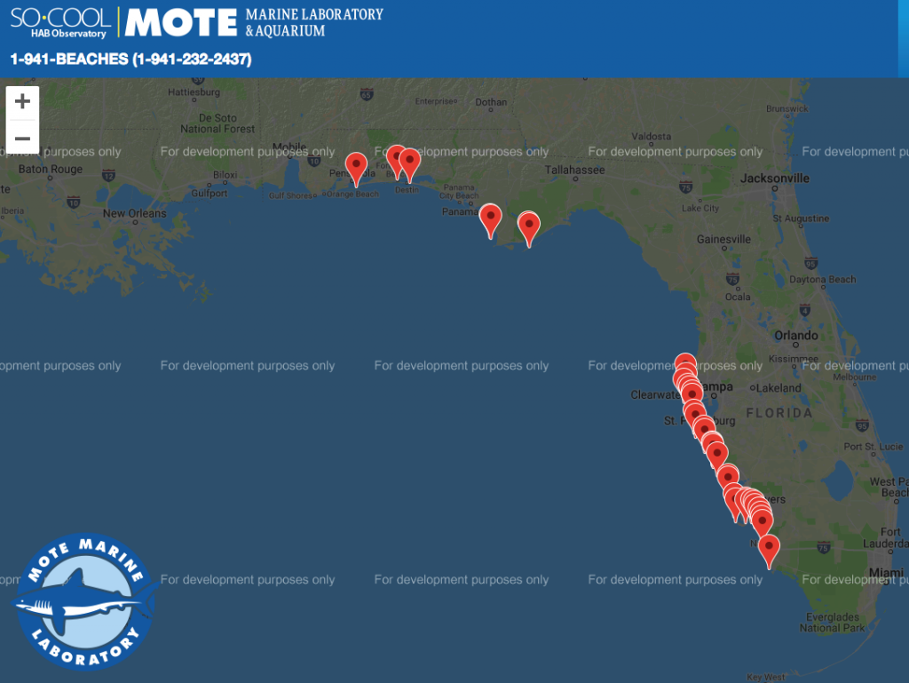 Naples Red Tide Conditions & Tool To Track Status of Area Beaches