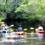 The Estero River Canoe Trail is accessible via the boat launch in Pelican Sound Golf & River Club.