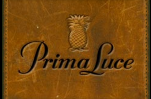 Prima Luce homes for sale in Fort Myers Florida Real Estate