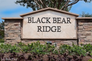 Black Bear Ridge