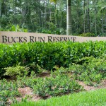 Bucks Run