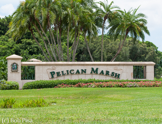 Pelican Marsh