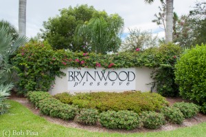 Brynwood Preserve