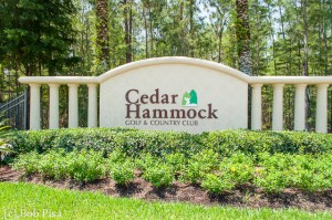Cedar Hammock