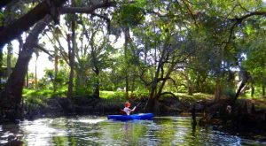 Kayak and canoe excursions along the winding Estero River await only minutes from Grandezza