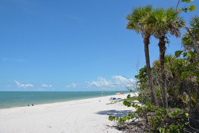 Barefoot Beach