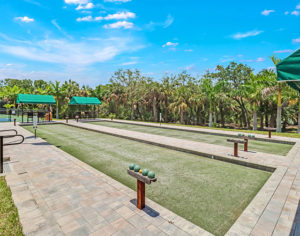 Shadow-Wood-Preserve-at-The-Brooks-Community-Bocce-Ball-Courts