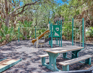 Shadow-Wood-Preserve-at-The-Brooks-Community-Park-Recreation-Playground