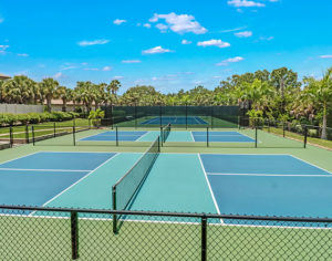 Shadow-Wood-Preserve-at-The-Brooks-Community-Tennis-Courts