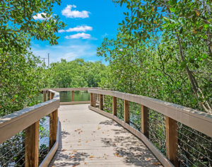 Shadow-Wood-Preserve-at-The-Brooks-Community-Walking-Paths