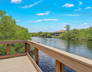 Shadow-Wood-Preserve-at-The-Brooks-Waterfront-Home-Boat-Dock
