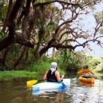 estero river canoe
