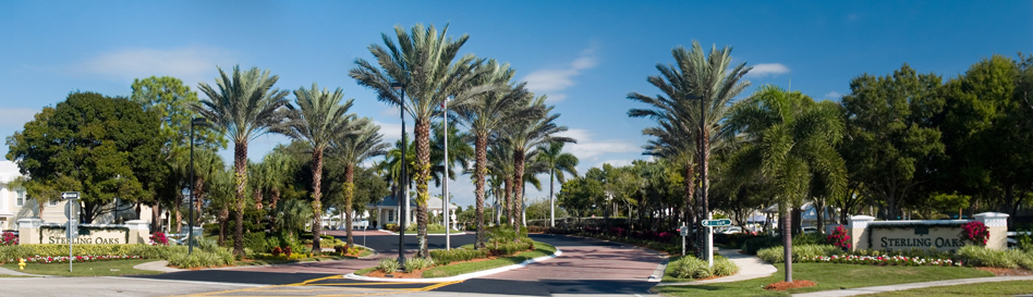 Sterling Oaks Naples homes for sale real estate