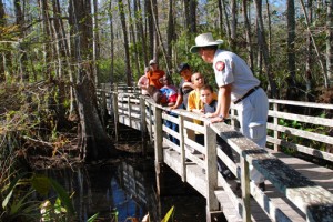 Corkscrew Swamp Sanctuary near Stonecreek