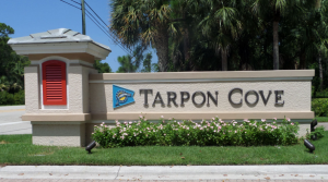 Tarpon Cove homes for sale in Naples Florida Real Estate