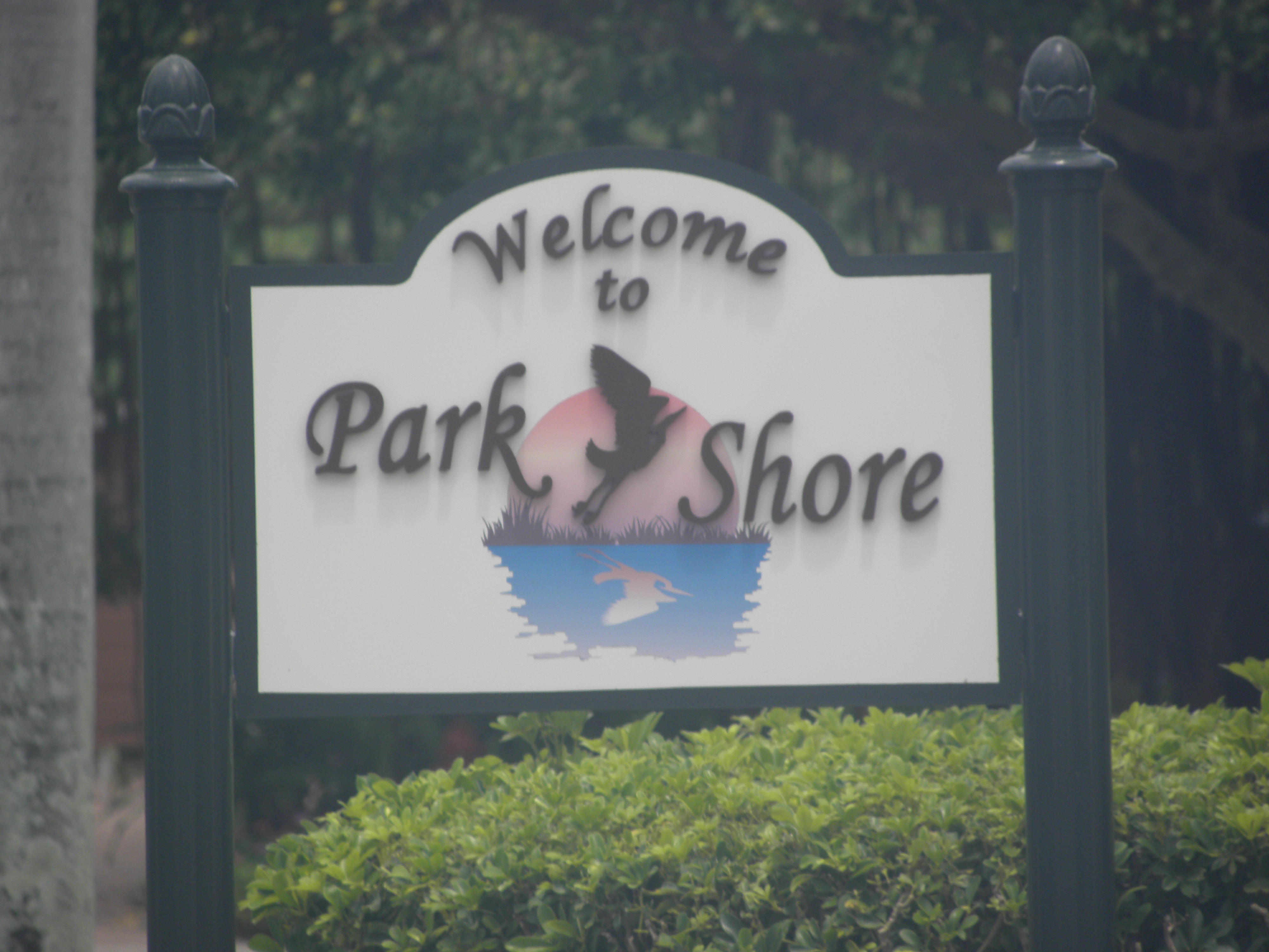Park Shore