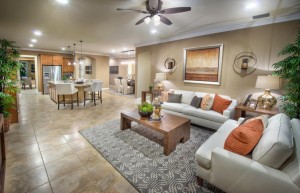 Tidewater of Estero Home Features