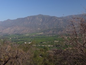Ojai